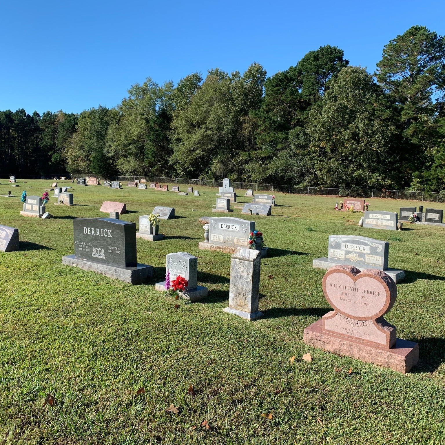 Sunlit cemetery grounds with memorial stones and tree line.